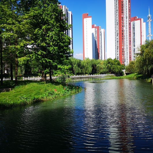 新华日报头条 深度解析76net必赢官网水环境综合提升工程