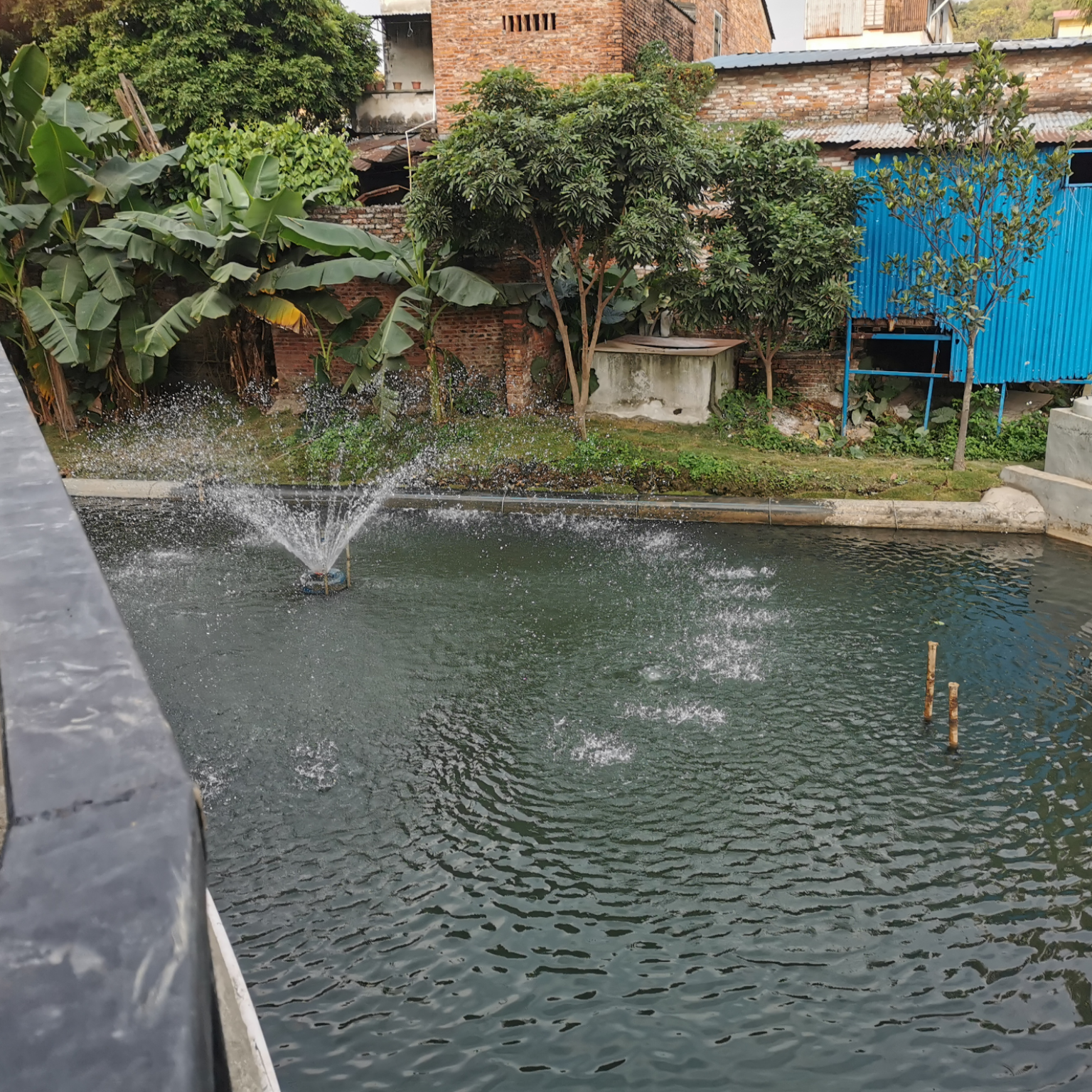 76net必赢官网助力顺德打赢黑臭水体攻坚战