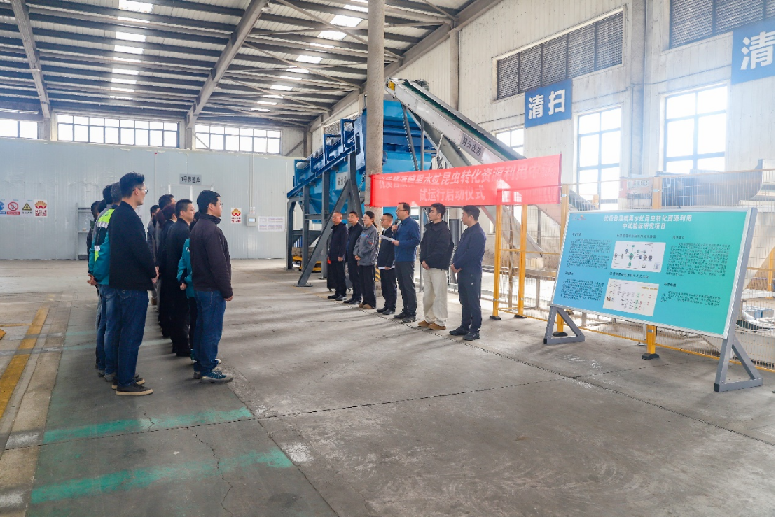 76net必赢官网酱酒糟黑水虻转化中试项目启动试运行