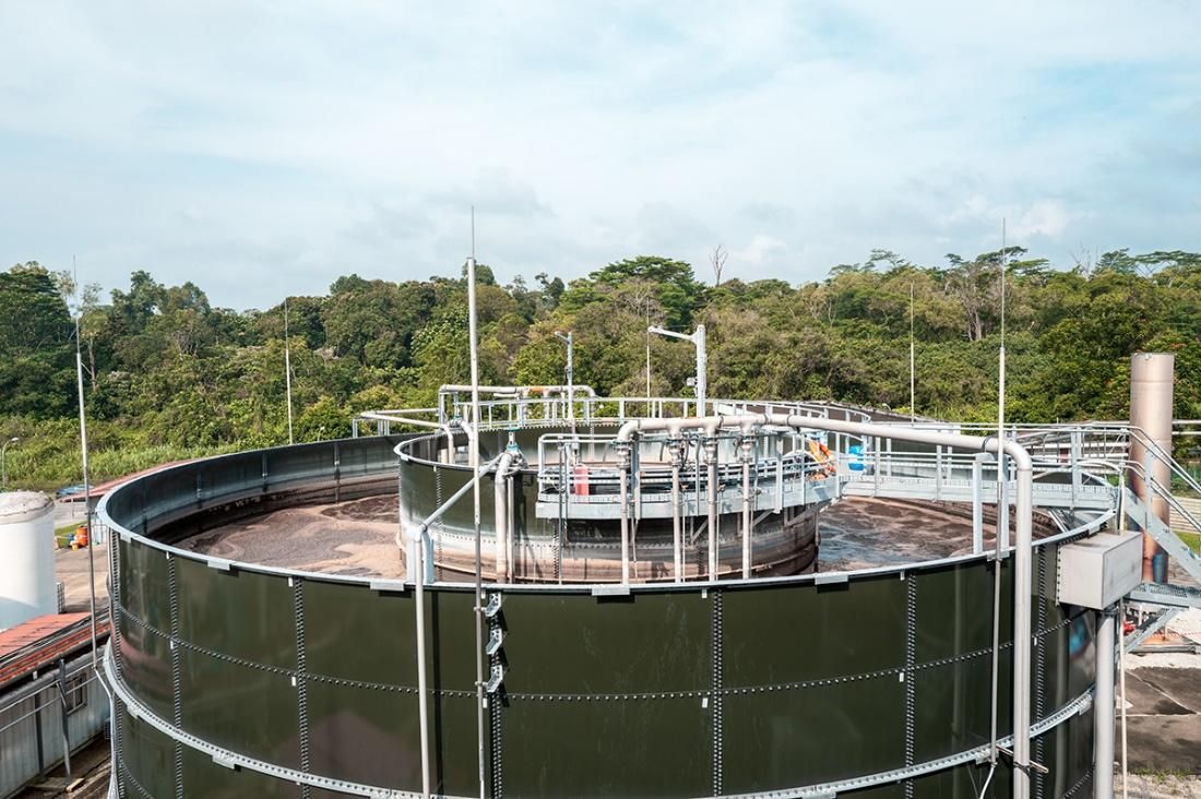 76net必赢官网成功签约新加坡生物能源项目